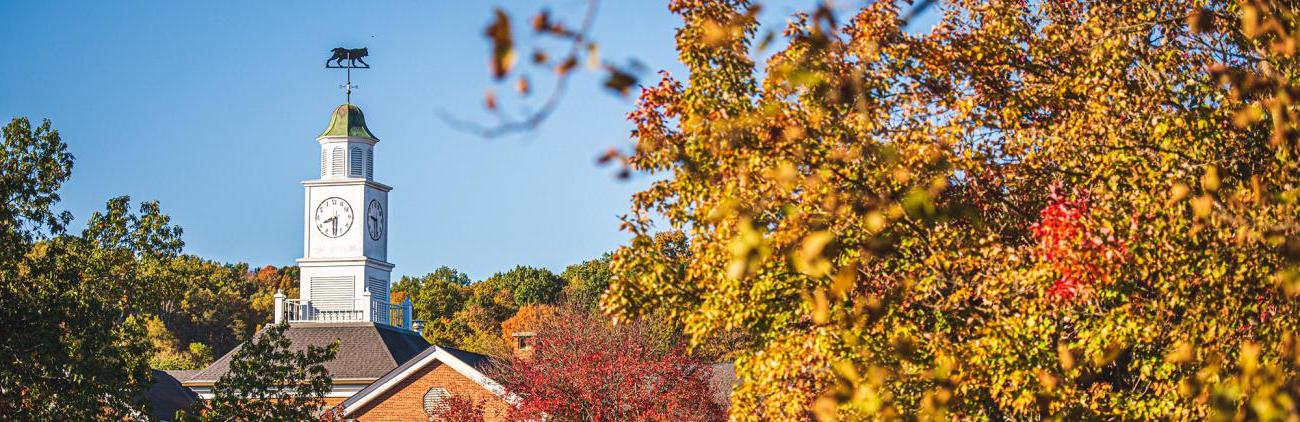 Steeple surrounded by trees